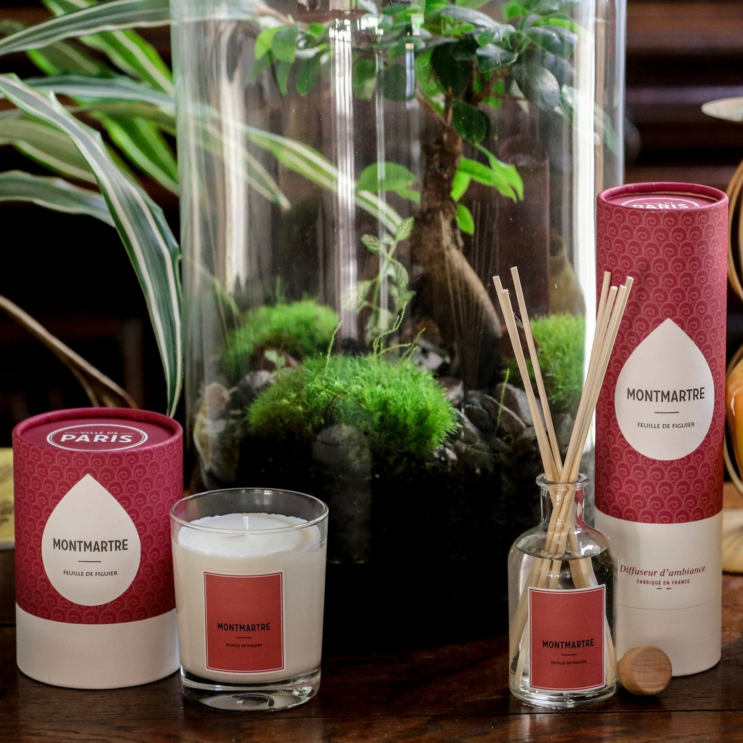 Set Bougie & Diffuseur Feuille de Figuier _ Montmartre