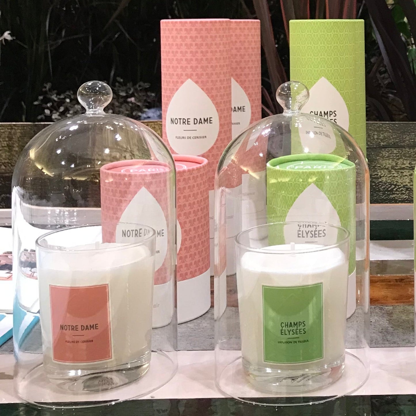 Set Bougie & Diffuseur Fleurs de Cerisier & Encens _ Notre Dame