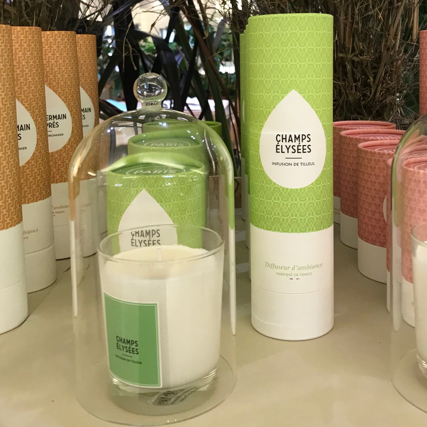 Set Bougie & Diffuseur Tilleul & Fleurs blanches _ Champs Elysée