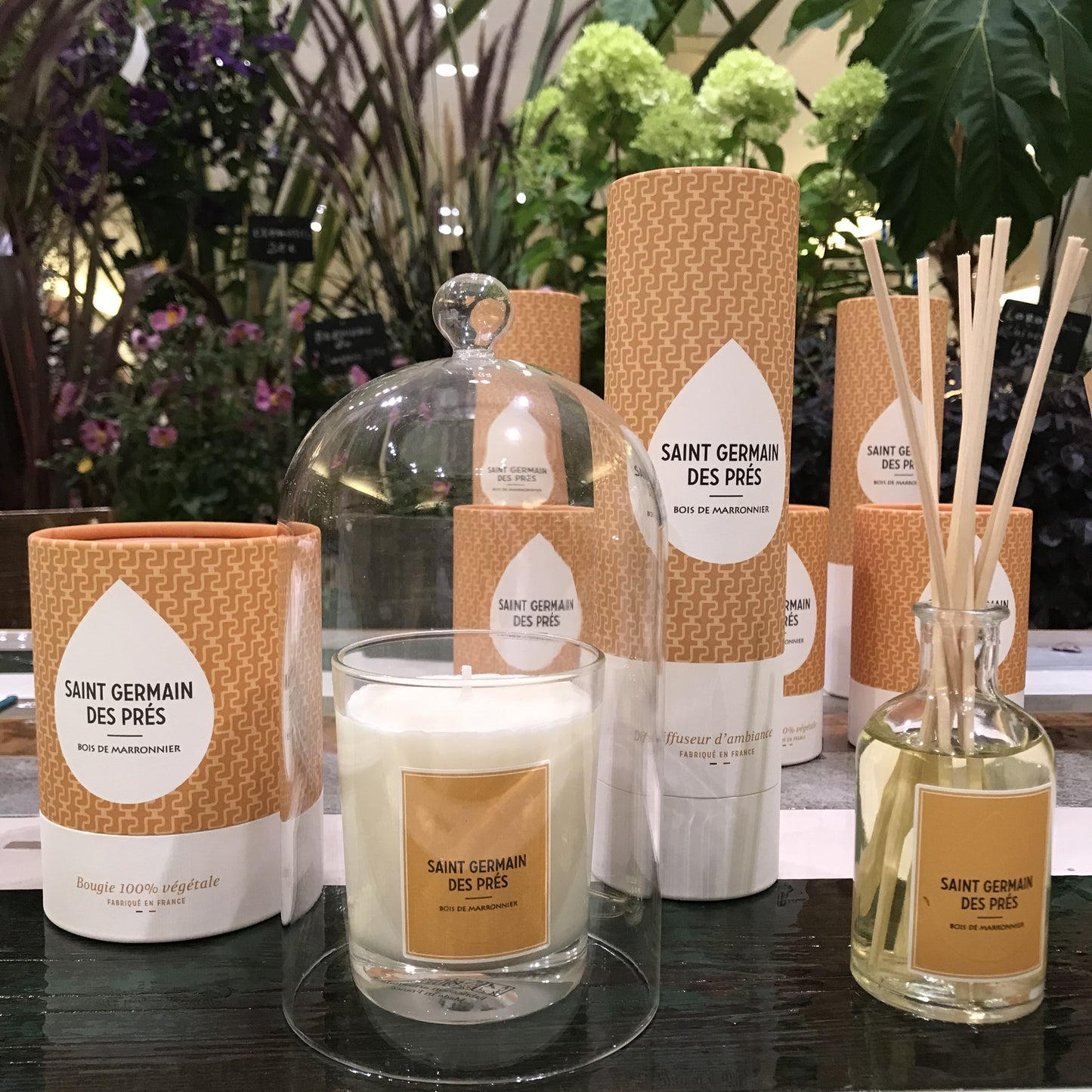 DIFFUSEUR PATCHOULI _ SAINT GERMAIN DES PRÉS