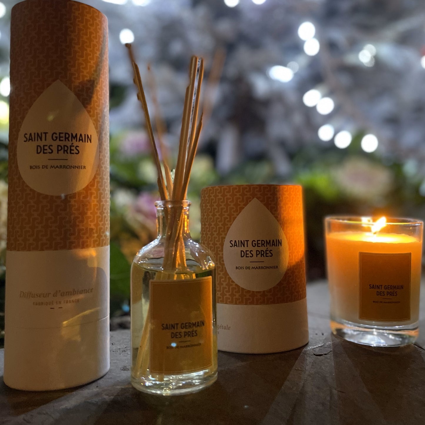 DIFFUSEUR PATCHOULI _ SAINT GERMAIN DES PRÉS
