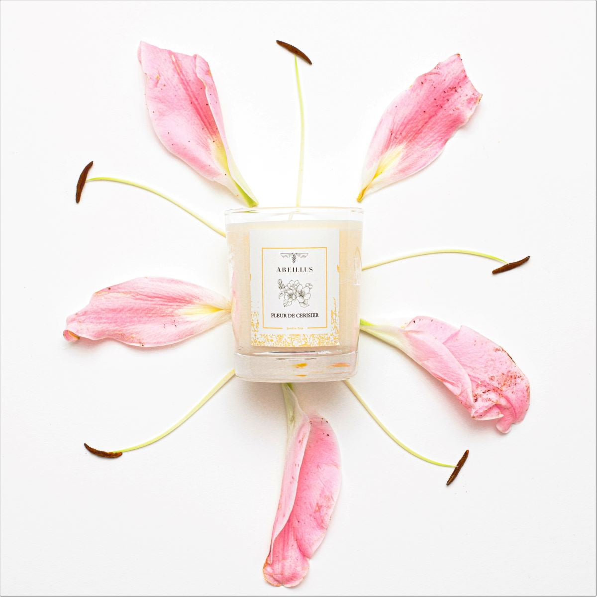 BOUGIE FLEUR DE CERISIER & AMBRE