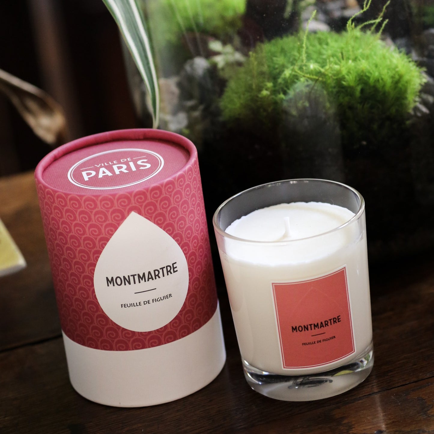 MONTMARTRE CANDLE – FIG LEAF 