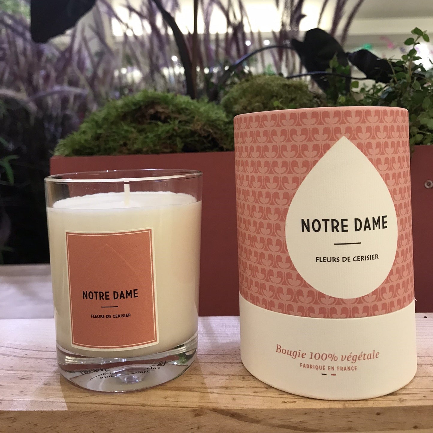 BOUGIE FLEUR DE CERISIER & ENCENS _ NOTRE DAME