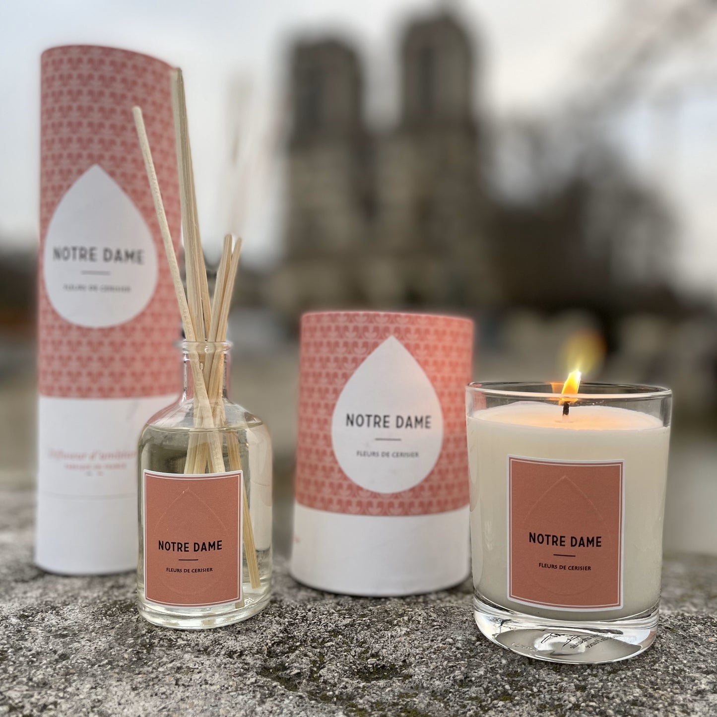 BOUGIE FLEUR DE CERISIER & ENCENS _ NOTRE DAME